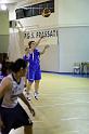 Basket 252046